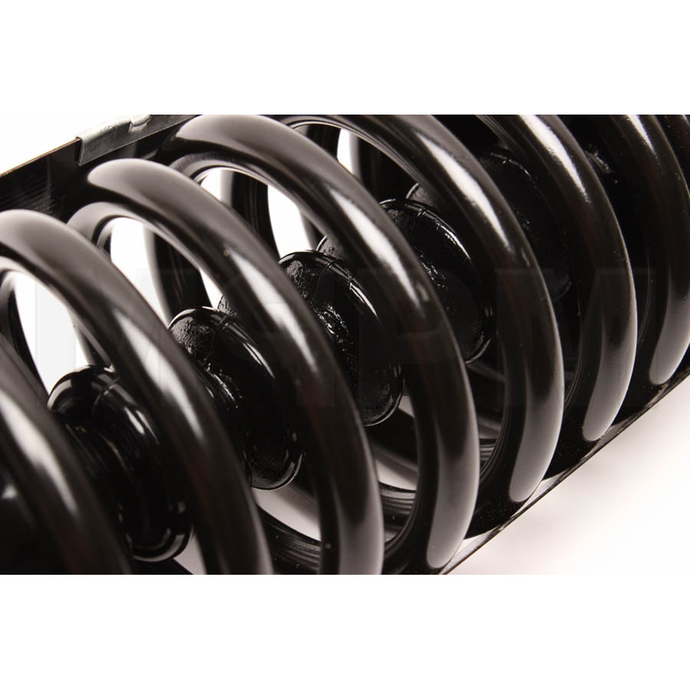 MPParts Watson Chalin 11418 Steering Stabilizer Shock Absorber 11418