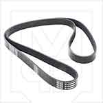 Terex 31817 6 Rib AC Belt