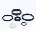 Terex 31666 Seal Kit For 21943 and 31683 Large Bore Power Chute Cylinder