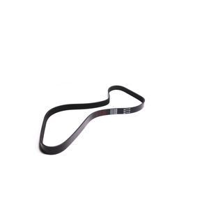 International Truck 3579001C1 Serpentine Belt Multiple Accessory