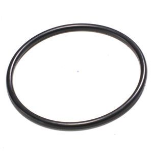 490-89 Fuel Cap O-Ring