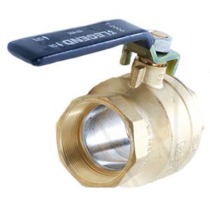 2 inch Ball Valve Aftermarket Replacement