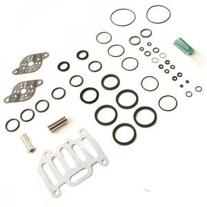 Johnson Ross 55-89747 Schrader Bellows Repair Kit for Double Solenoid Valves