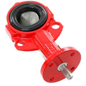 Bray BRAY-2SSD 2in Butterfly Valve with Stainless Steel Disc