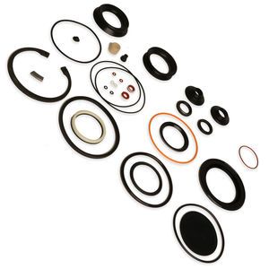 Internaitonal 2592439C91 Steering Gear Complete Seal Kit with Snap Ring and L-Seal