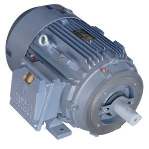 MPPARTS A1291DF Cement Auger Motor