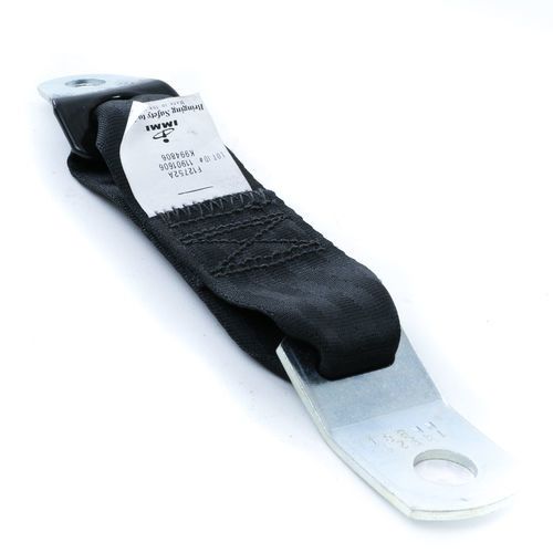 Terex 23647 Door Check Strap for Cabs With Manual Windows | 23647
