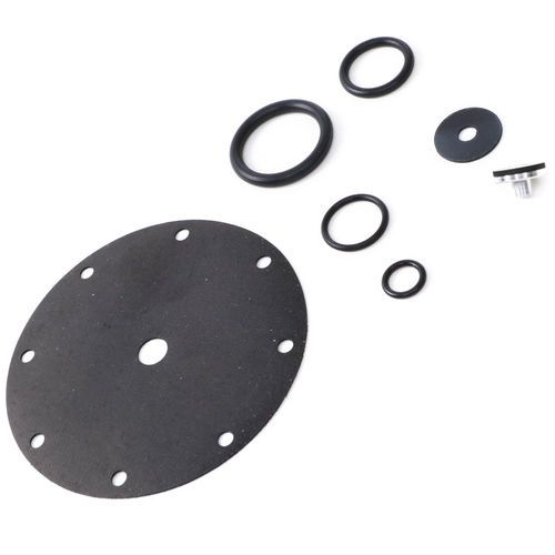 Williams 114289 R338DSTS Repair Kit | 114289