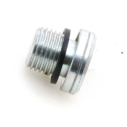 Schwing 10006658 VS-R .25 WD Screw Plug | 10006658