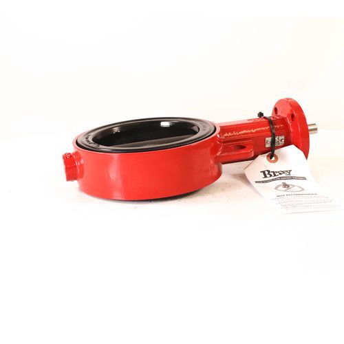 Bray 300500-1101032A 5in Butterfly Valve | 3005001101032A